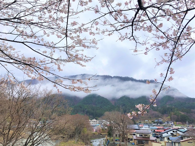 春の宇麗羅山