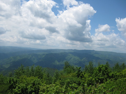 山頂の景色。