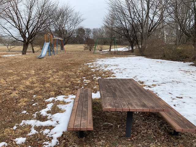 大牛内農村公園の写真。ベンチ、滑り台、ブランコ、うんていが設置されている。