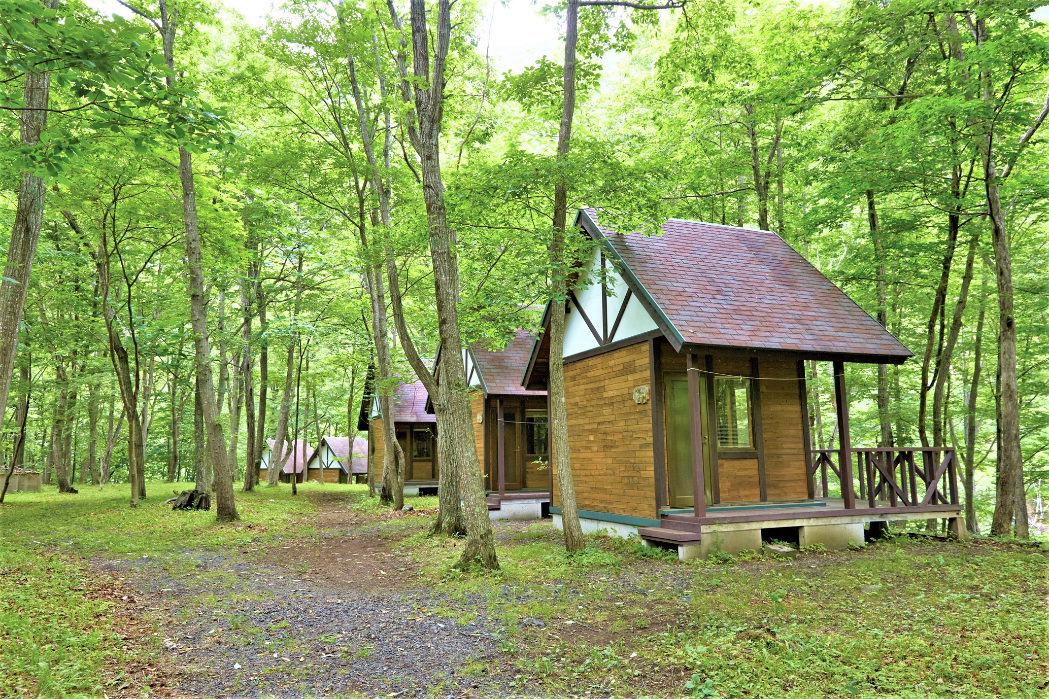 木造の小さな小屋が森林の中に複数設置されている。