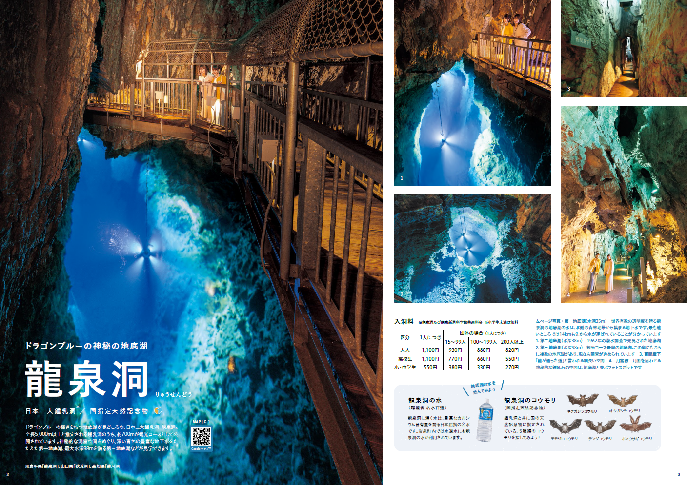 岩泉町観光パンフレット「わいわい岩泉」 | 岩泉町