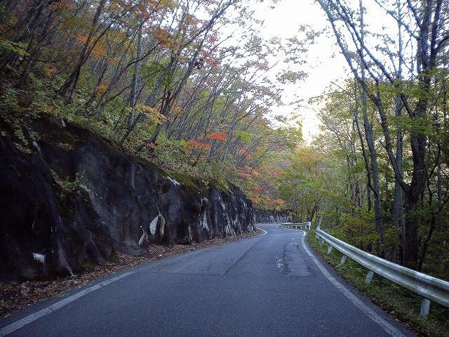 kouyou-IMGP0994