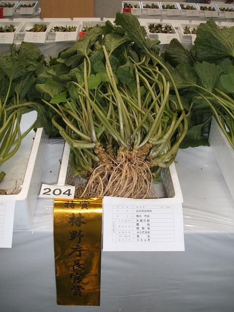 Dscf0479-wasabi