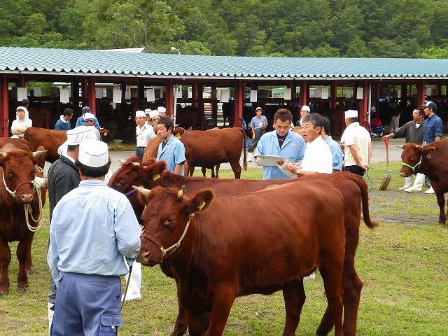 tankaku-IMGP0811