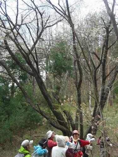 20100509-5