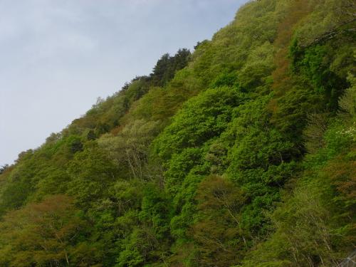 20100518