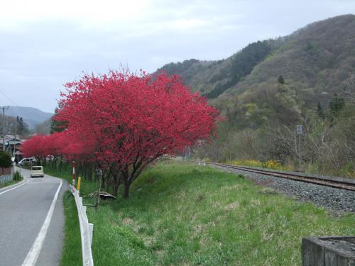 DSCF2135