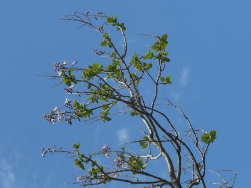 20100602-001