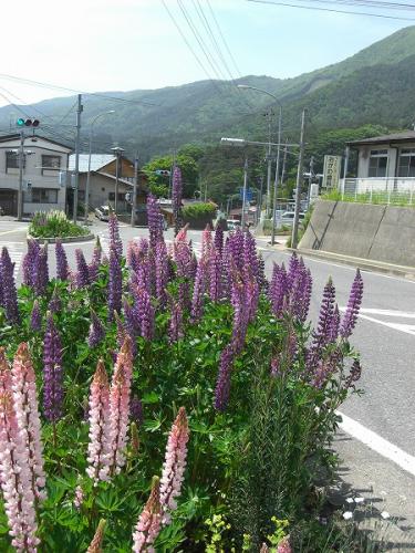 20100607-2