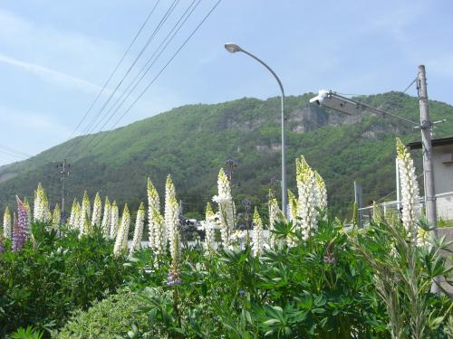 20100607-6