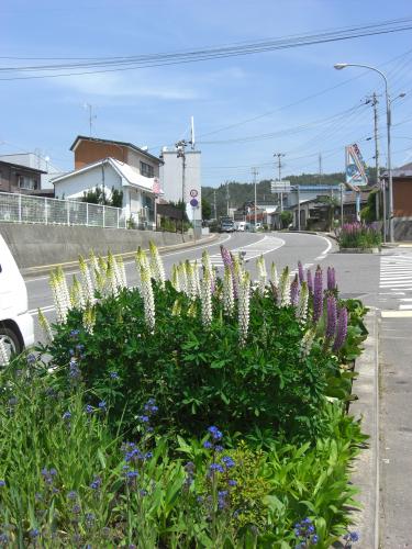 20100607-7
