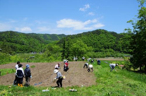 s-DSC_1779