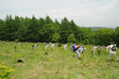 s-DSC_1929