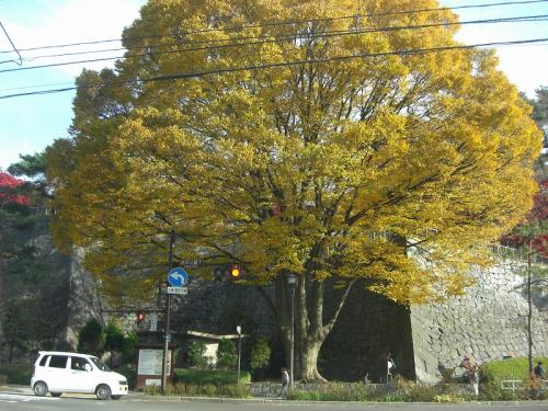 20101112-12