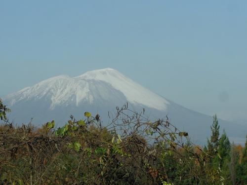 20101112-5