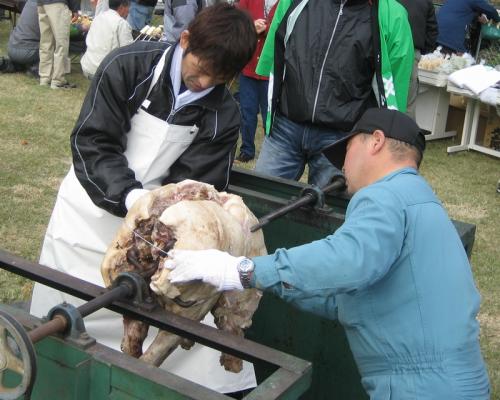 photo5