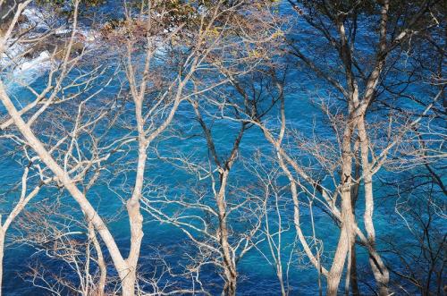 s-DSC_0230