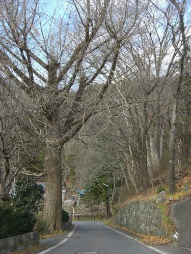 20101205