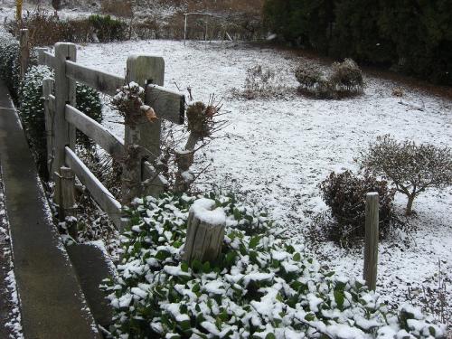20101215-1