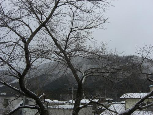 20101215-2