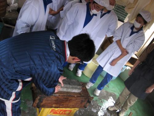 photo5