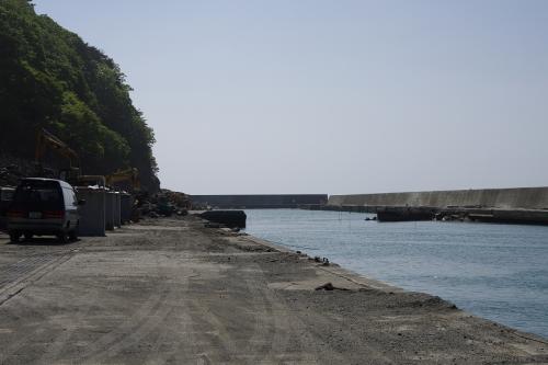 IMGP3019