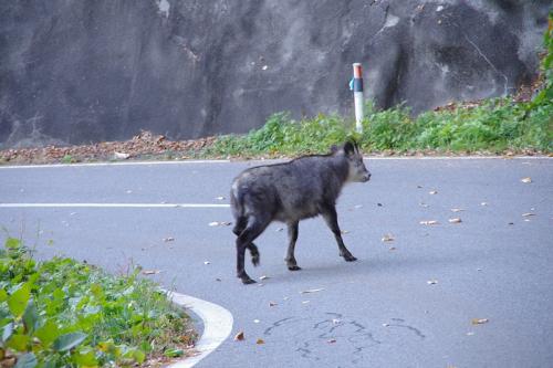 s-hokousha-IMGP7343