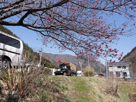 201304 037