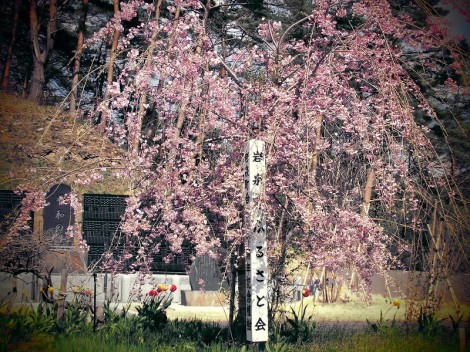 201304 096
