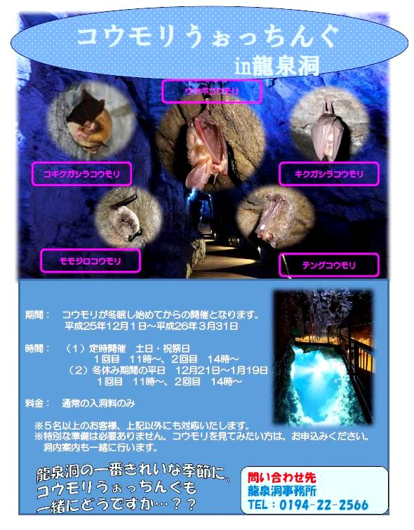 2013.11.28-4