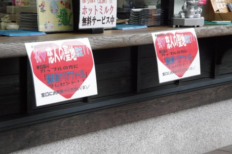 IMGP5083