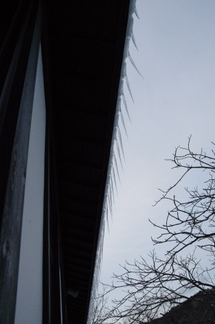 IMGP5236
