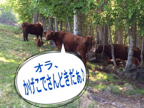 anameushi3