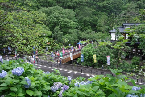 IMGP0162