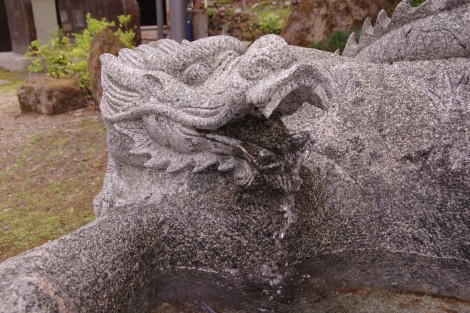 IMGP8152
