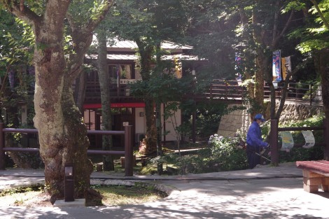 IMGP8238