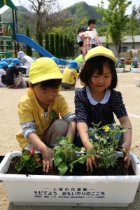 花を植える園児